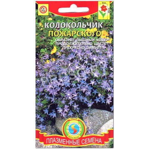 Колокольчик Пожарского