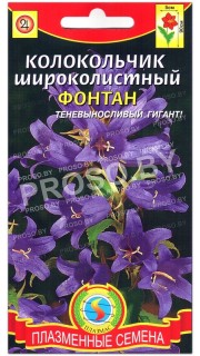 Колокольчик широколистный Фонтан