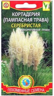Кортадерия (пампасная трава) Серебристая