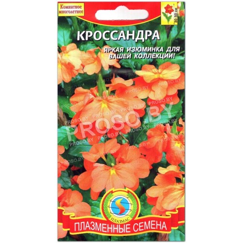 Кроссандра