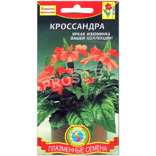 Кроссандра-1