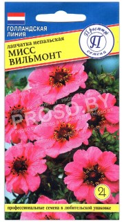 Лапчатка непальская Мисс Вильмотт