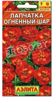 Лапчатка Огненный шар