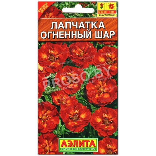 Лапчатка Огненный шар