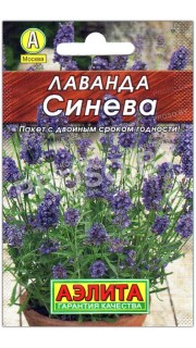 Лаванда Синева