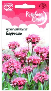 Лихнис альпийский Бодрость