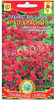 Лихнис вискария Ярко-красный