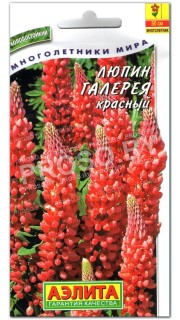 Люпин Галерея красный