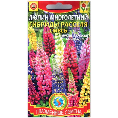 Люпин многолетний Гибриды Расселя, смесь