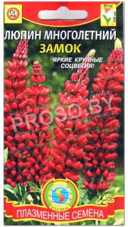 Люпин многолетний Замок