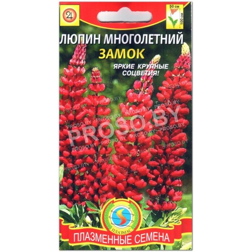 Люпин многолетний Замок