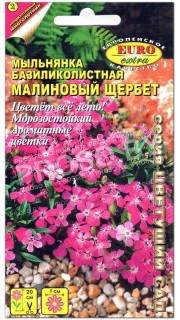 Мыльнянка базиликолистная Малиновый щербет