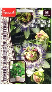 Пассифлора Съедобная