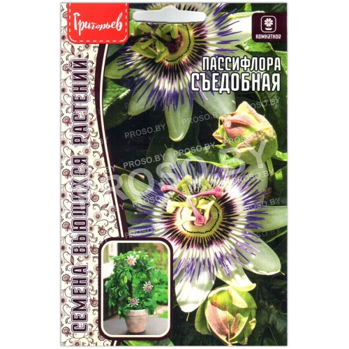 Пассифлора Съедобная