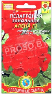 Пеларгония зональная Алена F1