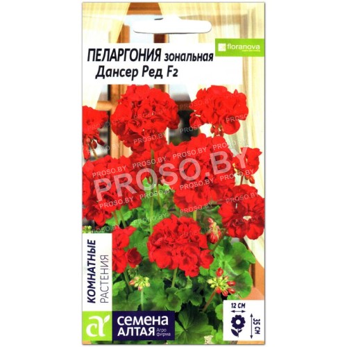 Пеларгония зональная Дансер Ред F2