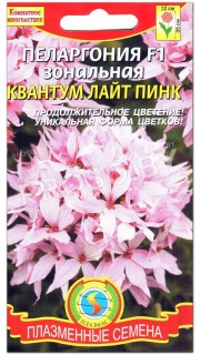 Пеларгония зональная Квантум лайт пинк F1
