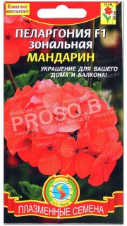 Пеларгония зональная Мандарин F1