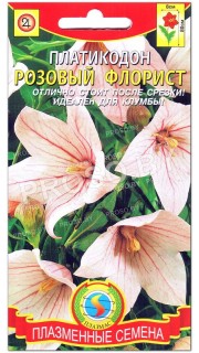 Платикодон Розовый флорист
