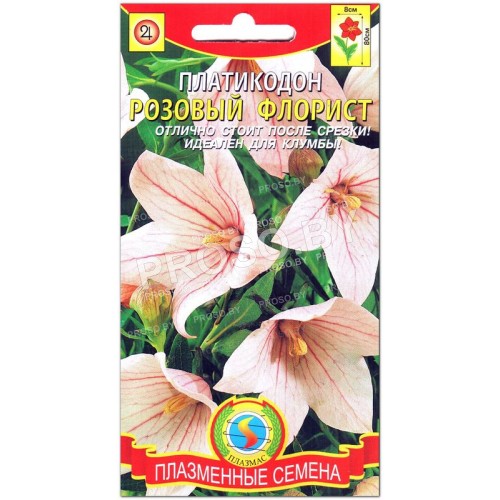 Платикодон Розовый флорист
