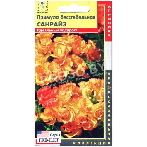 Примула бесстебельная Санрайз, серия Primlet