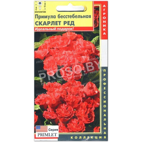 Примула бесстебельная Скарлет ред, серия Primlet