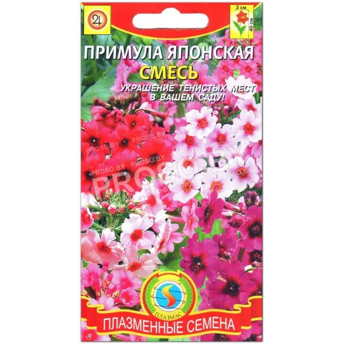 Примула Японская, смесь-1