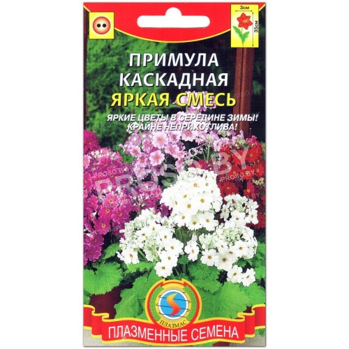 Примула каскадная Яркая смесь
