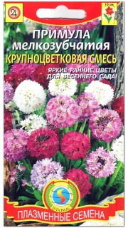 Примула мелкозубчатая Крупноцветковая смесь