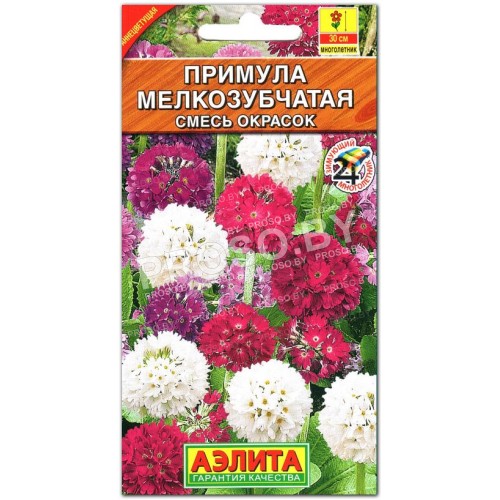 Примула Мелкозубчатая, смесь