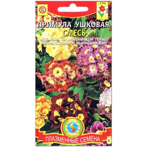Примула Ушковая, смесь-1