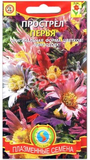 Прострел Перья, смесь