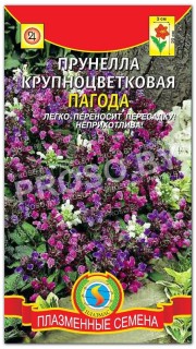 Прунелла крупноцветковая Пагода