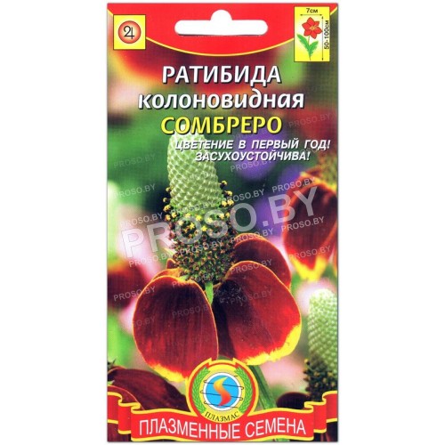Ратибида колоновидная Сомбреро