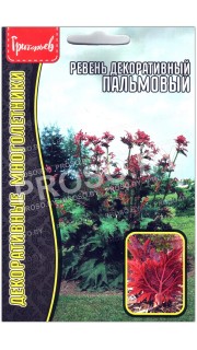 Ревень декоративный Пальмовый