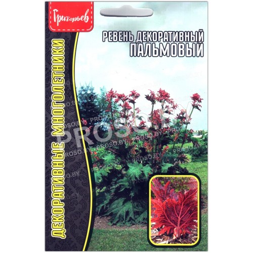 Ревень декоративный Пальмовый