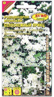 Рододендрон Белоснежный принц, японский