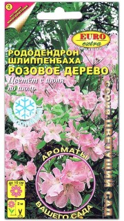 Рододендрон Розовое дерево