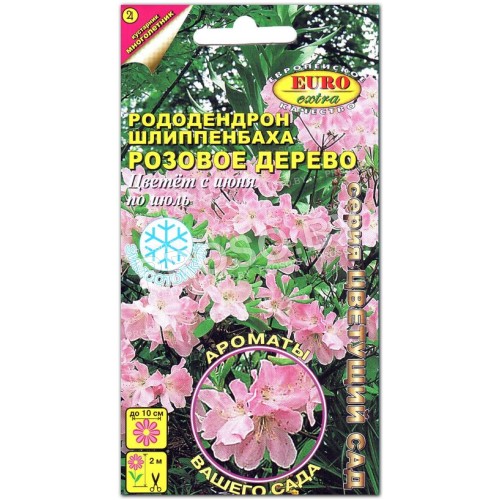 Рододендрон Розовое дерево