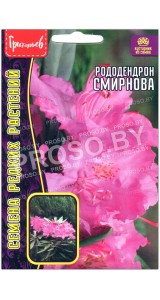 Рододендрон Смирнова