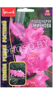 Рододендрон Смирнова