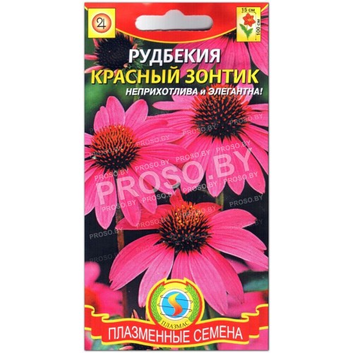 Рудбекия Красный зонтик
