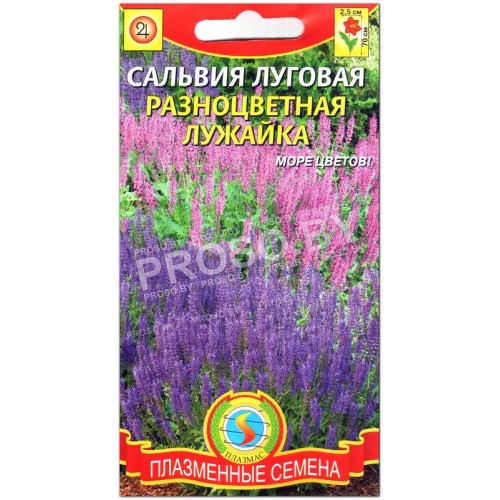 Сальвия луговая Разноцветная лужайка