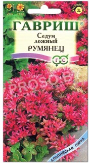 Седум ложный Румянец