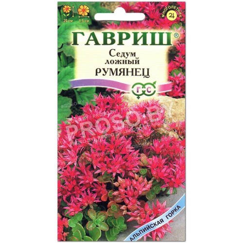 Седум ложный Румянец