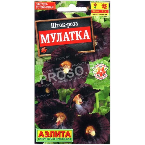 Шток-роза Мулатка