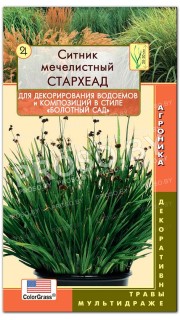 Ситник мечелистный Стархеад
