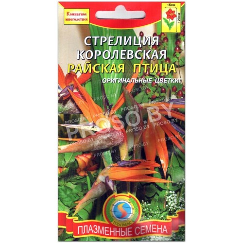 Стрелиция королевская Райская птица (птичка)-1