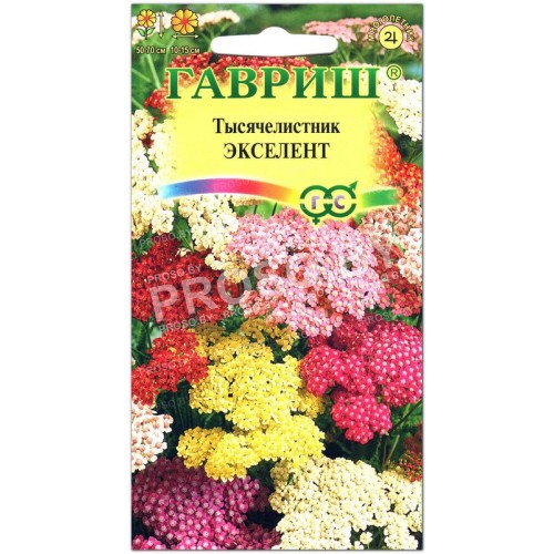 Тысячелистник Экселент