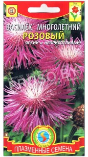 Василек многолетний Розовый